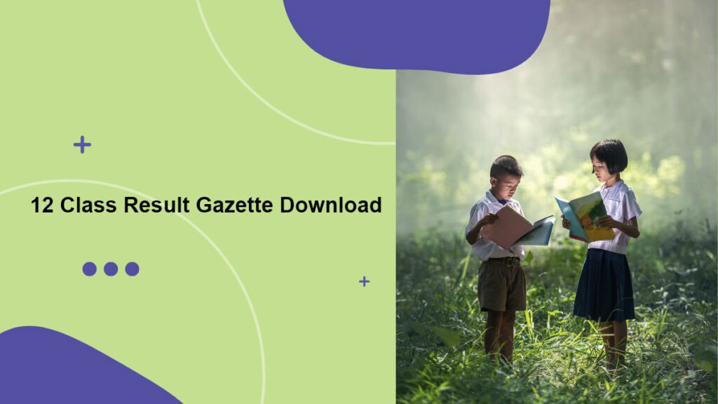 12 Class Result Gazette Download